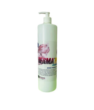 Gel lavant main bactéricide 1L